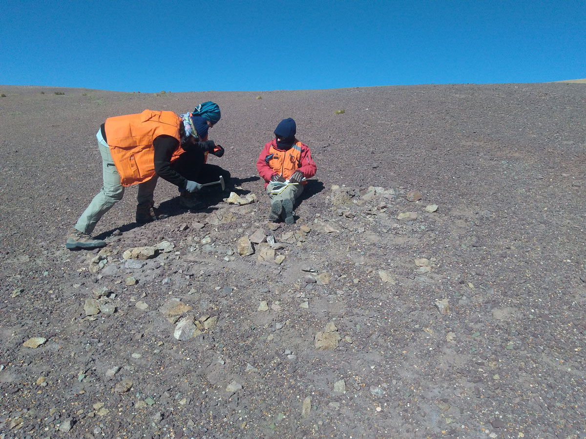 Descripción de la roca